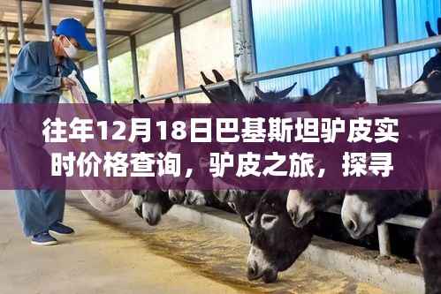 巴基斯坦驢皮價格實(shí)時查詢，探尋自然美景與內(nèi)心寧靜之旅