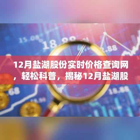 揭秘，如何輕松查詢鹽湖股份實時價格？十二月實時價格查詢網科普指南