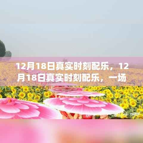 12月18日真實時刻配樂，音樂的盛宴，情感隨旋律流淌