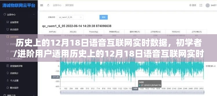 歷史上的12月18日語(yǔ)音互聯(lián)網(wǎng)實(shí)時(shí)數(shù)據(jù)探索指南，初學(xué)者與進(jìn)階用戶適用