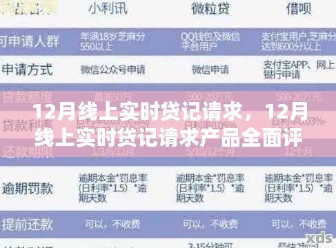 12月線上實時貸記請求產品全面介紹與評測