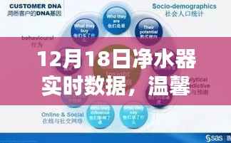 12月18日凈水器實時數據，溫馨日常的奇妙邂逅之旅
