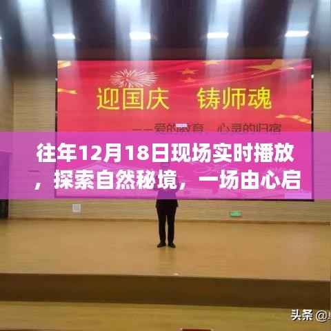 探索自然秘境，一場由心啟航的旅行盛宴，相約自然之門的盛宴