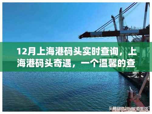 上海港碼頭奇遇，溫馨的查詢故事實時更新