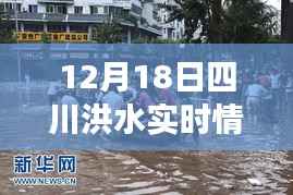 四川洪水退去后的寧靜美景，探索一次遠離塵囂的心靈之旅（實時更新）