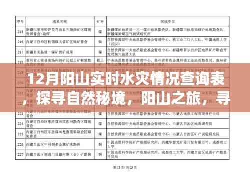 探尋自然秘境，陽山之旅遭遇水災，實時情況查詢與內心力量的尋找