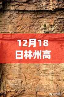 林州高速實時路況播報與小巷獨特風味小店探訪