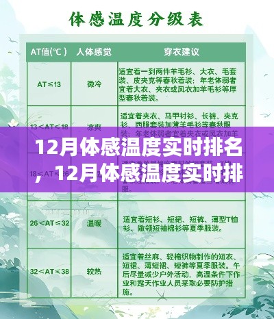 12月體感溫度實時排名查詢全攻略，從入門到精通的步驟指南