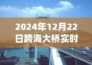跨海大橋壯麗景色與寧靜之旅，實時探尋橋梁下的秘密之旅（2024年跨海大橋實時報道）