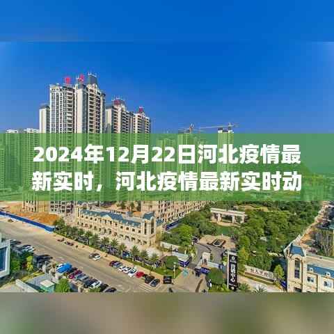河北疫情最新實(shí)時(shí)動(dòng)態(tài)觀察報(bào)告，多維度視角解讀與深度分析（2024年12月22日觀察點(diǎn)）
