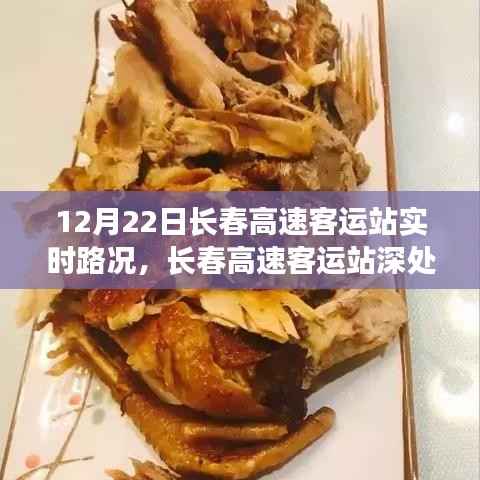 長春高速客運站實時路況與隱藏瑰寶，小巷特色小店的奇遇