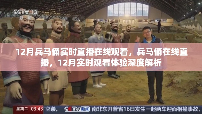 12月兵馬俑在線直播深度解析，實時觀看體驗與歷史文化魅力