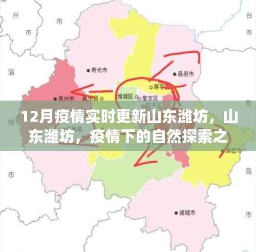 山東濰坊疫情下的自然探索之旅，尋找內心的寧靜與力量，實時更新疫情動態(tài)