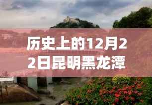 昆明黑龍潭公園的智慧與勇氣，實時監控下的學習與夢想成就日