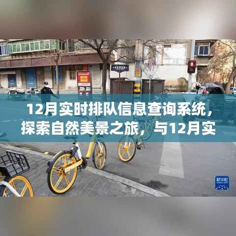 探索自然美景之旅，與實(shí)時(shí)排隊(duì)信息查詢系統(tǒng)共赴心靈寧靜之旅