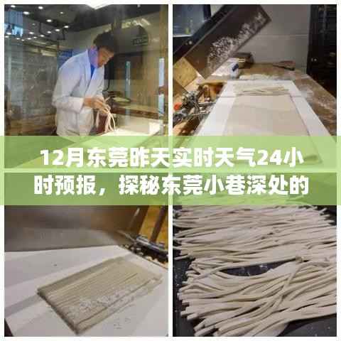 探秘東莞小巷深處的天氣秘境，特色小店實時故事與天氣預報