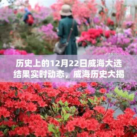 揭秘威海大選，歷史性的12月22日大選結果實時動態回顧與解析