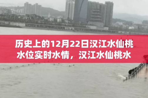 漢江水仙桃水位揭秘，探尋歷史特殊水情，實時掌握12月22日水位動態(tài)