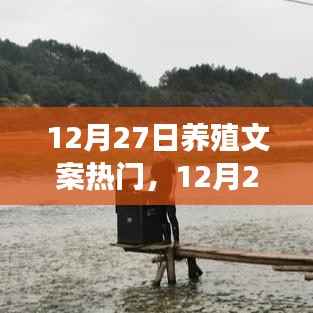 12月27日養(yǎng)殖文案精選，開啟養(yǎng)殖之路，信心與成就感共創(chuàng)美好人生魔法