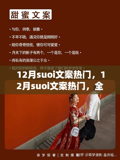 全面評測與介紹，12月熱門suoi文案精選