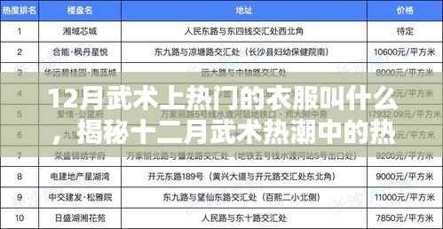 揭秘十二月武術熱潮中的熱門服飾名稱，武術服裝流行趨勢解析