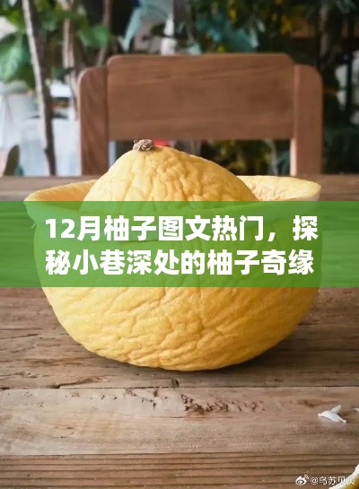 探秘柚子奇緣，隱藏版柚子主題小店的獨(dú)特魅力，12月柚子圖文熱門(mén)