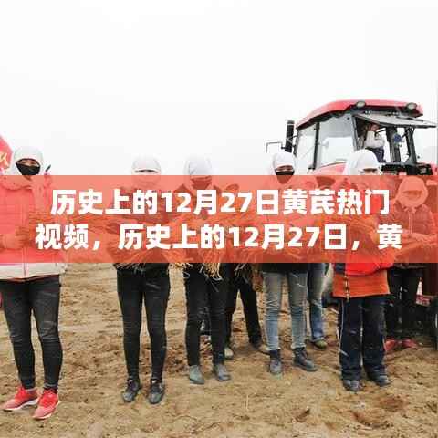 揭秘歷史上黃芪熱門視頻，探尋十二月二十七日的秘密時刻