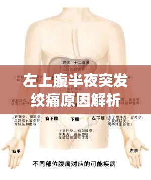 左上腹半夜突發絞痛原因解析