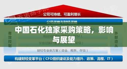 中國石化獨家采購策略，影響與展望