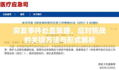 突發事件處置策略，應對挑戰的關鍵方法與形式解析