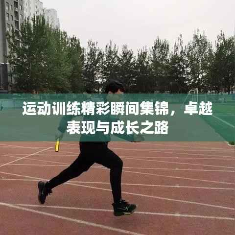 運(yùn)動(dòng)訓(xùn)練精彩瞬間集錦，卓越表現(xiàn)與成長(zhǎng)之路