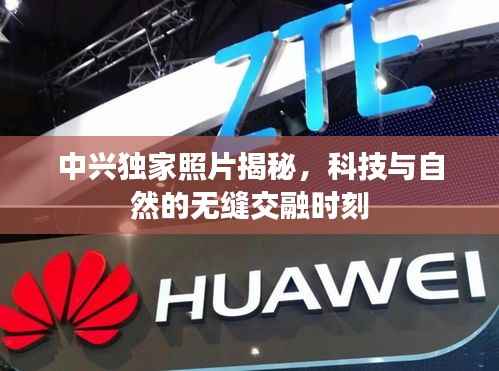 中興獨家照片揭秘，科技與自然的無縫交融時刻