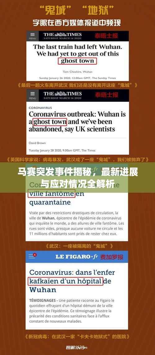馬賽突發事件揭秘，最新進展與應對情況全解析