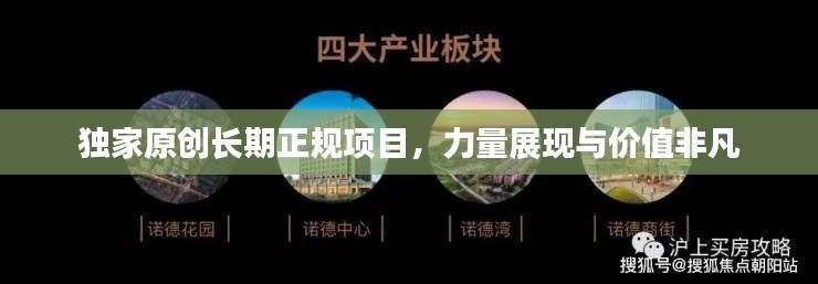 獨家原創長期正規項目，力量展現與價值非凡