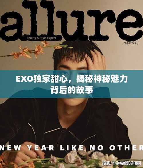 EXO獨家甜心，揭秘神秘魅力背后的故事
