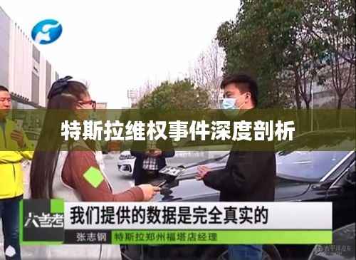 特斯拉維權事件深度剖析