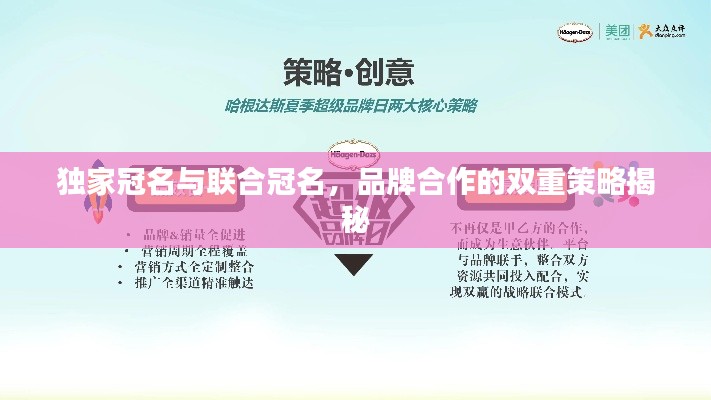 獨家冠名與聯合冠名，品牌合作的雙重策略揭秘