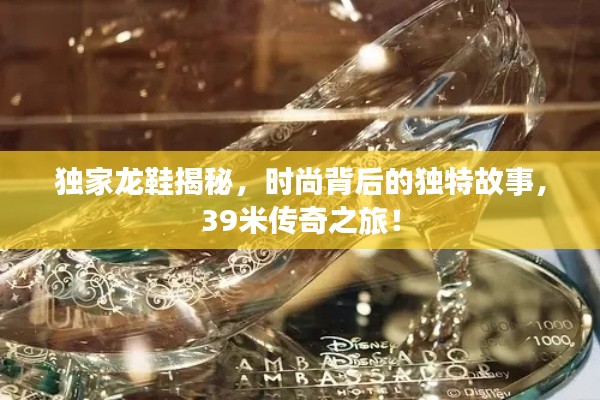 獨家龍鞋揭秘，時尚背后的獨特故事，39米傳奇之旅！