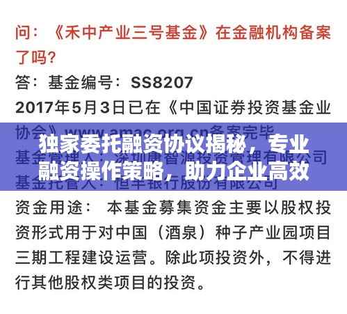 獨家委托融資協議揭秘，專業融資操作策略，助力企業高效籌資！