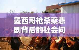 墨西哥槍殺案悲劇背后的社會(huì)問題引深思