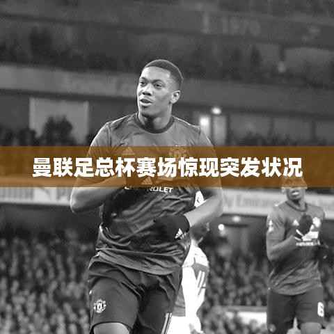 夫妻本是同林鳥 第4頁