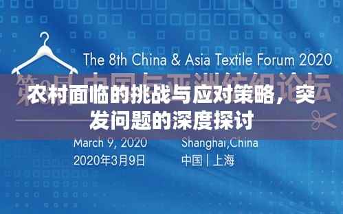 農村面臨的挑戰與應對策略，突發問題的深度探討