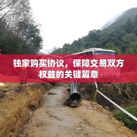 獨家購買協(xié)議，保障交易雙方權(quán)益的關(guān)鍵篇章