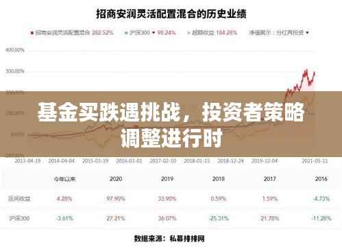基金買跌遇挑戰(zhàn)，投資者策略調(diào)整進(jìn)行時(shí)