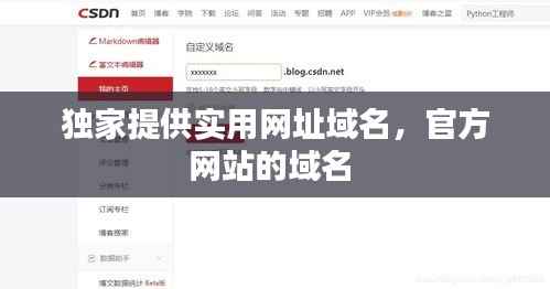 獨(dú)家提供實(shí)用網(wǎng)址域名，官方網(wǎng)站的域名 