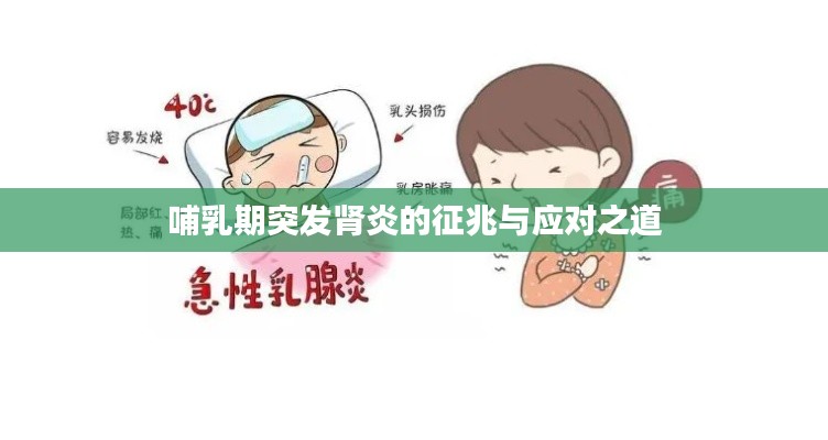 哺乳期突發腎炎的征兆與應對之道