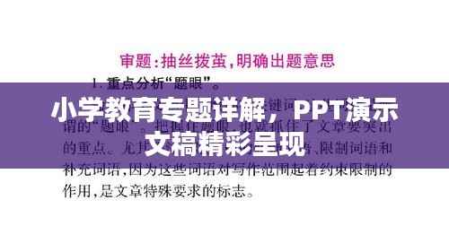 小學教育專題詳解，PPT演示文稿精彩呈現(xiàn)