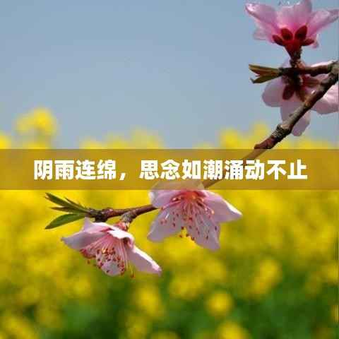 陰雨連綿，思念如潮涌動不止