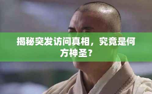 揭秘突發訪問真相，究竟是何方神圣？