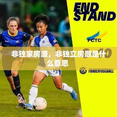 非獨家房源，非獨立房源是什么意思 